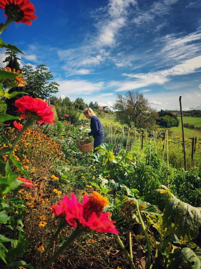 Landhaus Schaller Im Suedburgenland Maria Bild Dış mekan fotoğraf
