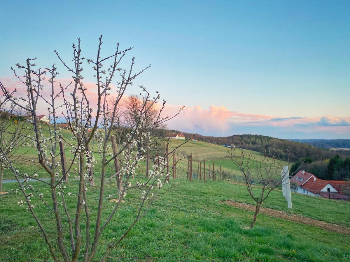 Landhaus Schaller Im Suedburgenland Maria Bild Dış mekan fotoğraf